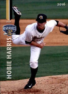 2016 Charleston RiverDogs Grandstand #16 Hobie Harris McKinney Texas TX Card