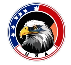 USA American Eagle Sticker A20 - Picture 1 of 1