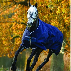 Horseware Amigo Bravo 12 Original Heavy Winterdecke Weidedecke Navy 125-160 - Bild 1 von 1