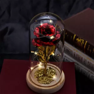 6 Colors Eternal Rose Flower In Glass Dome LED Light Mother's Day Gift Decor - Picture 1 of 16