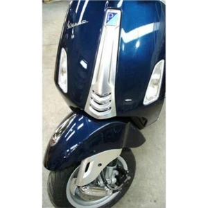 VESPA PRIMAVERA IE 125 1016 BIS 2020 SILBER METALLIC HUPENABDECKUNG UND GABELABDECKUNG - Bild 1 von 1