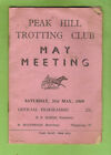 #D173. Peak Hill  Trotting Horse  Racing Club Program 31St May 1969