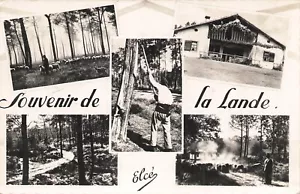 40 SOUVENIR DE LA LANDE 78045 - Imagen 1 de 1