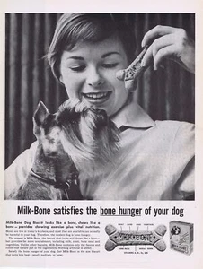 1959 Schnauzer Milk Bone Print Ad - Picture 1 of 1