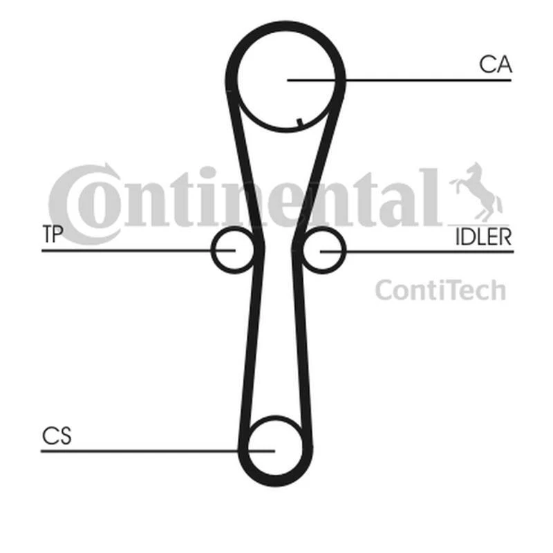 Continental Ctam CT954K1 Dentadas para MG ZR Rover Streetwise Honda - Imagen 1 de 1