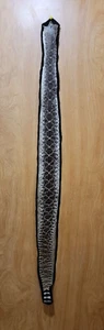 Rattlesnake Skin Taxidermy Felt Rug Mount Diamondback rattlesnake mount man cave - Picture 1 of 13