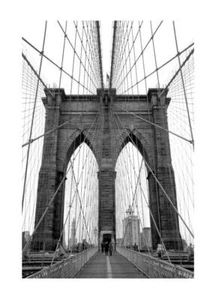 Straight - Imagen 1 de 17