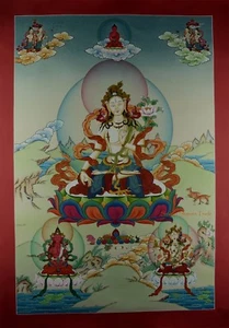 33.25" x 23" White Tara/Dolkar Tibetan Buddhist Thangka/Thanka Painting Nepal - Picture 1 of 6