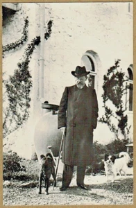 Russian postcard writer ANTON CHEKHOV his house Yalta Crimea Dogs Cane - Foto 1 di 2