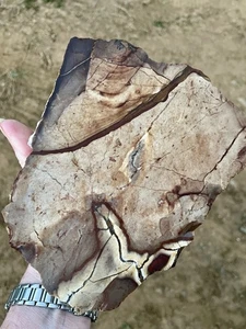 3,7 Pfund Biggs Bild Jaspis geschnitten Lapidar grob von Biggs, Oregon - Bild 1 von 7