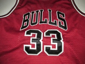 Vintage Team Nike Scottie Pippen Chicago Bulls NBA #33 Basketball Jersey S 44 - Picture 1 of 9