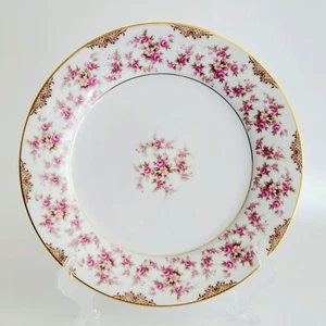 Vintage Noritake Charmaine DINNER Plate Pink & Brown Floral Shabby Chic c1950s - Picture 1 of 9