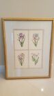 Dan Mitra Four Hand Colored Etchings Flowers Matted Framed 31" X 39" Signed