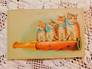 AUTHENTIC VICTORIAN LION COFFEE TRADE CARD W KITTENS SITTING ON CIGAR HOLDER - Picture 1 of 2