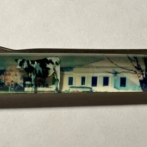 Sterling Francini Clark Art Institute Floaty Pen Holstein Cow Moves Art Nature - Picture 1 of 9