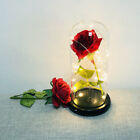  LED-Rose in Glasglocke Haltbare Glaslampe Mit LED-Lichtern Kuppel