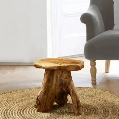 Cedar Root Natural Stool Mushroom Reclaimed Hard Side Table Stand Foot Wood End - Image 1 of 4