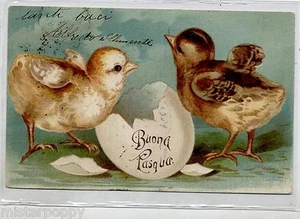 Augurale Pasqua Pulcini con Uovo Easter PC Viaggiata 1904 - Picture 1 of 1