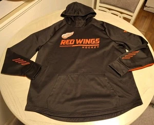 Detroit Red Wings Fanatics Authentic Pro Locker Room Raglan Pullover Hoodie -... - Picture 1 of 3