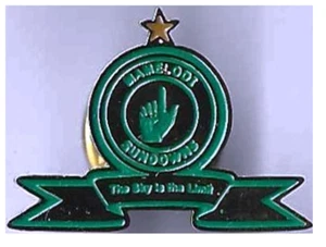 football pin \ badge South African - Mamelodi Sundowns - Picture 1 of 1