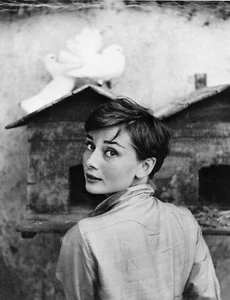 * Audrey Hepburn 4x6 Movie Memorabilia Hollywood Actress - Picture 1 of 1