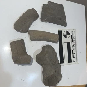 Ancient Roman Egyptian Pot Sherds - Picture 1 of 2