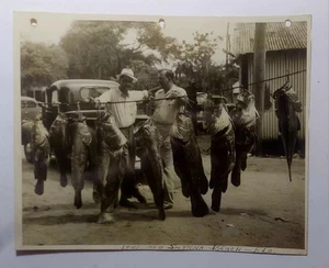 1941 Foto A Bounty of Grouper New Smyrna Beach, Florida - Bild 1 von 2