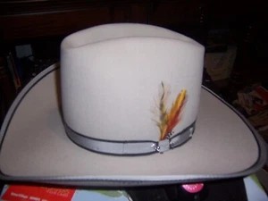 Gray Stetson Cowboy Hat W/ Feathers & JBS Pin 5X Beaver XXXXX 54cm Size 6 5/8 - Picture 1 of 10