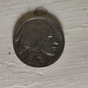 1936 BUFFALO NICKEL 5C , FULL HORN BU - Picture 1 of 2