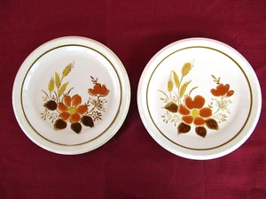 Mikasa Highland's salad dessert plates set of 2 7-1/2" oven to table Stoneware - Picture 1 of 6