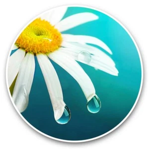 2 x Vinyl Stickers 25cm - Flower Daisy Water Droplets  #45037 - Afbeelding 1 van 8