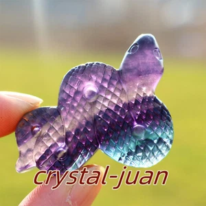 2" Natural Fluorite Snake Carved Quartz Crystal Reiki Skull Gift 1pc - Picture 1 of 22
