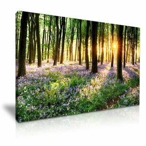 Bluebells Forest Tree Sunlight Canvas Modern Home Art ~ 5 Size To Choose - Bild 1 von 12