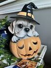 Halloween Bulldog Pug Witch Dog Light Up Pumpkin Resin Statue Prop Decor 9"