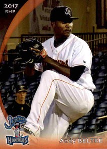 2017 Jupiter Hammerheads Grandstand #4 Andy Beltre Dominican Republic DR Card