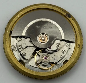 Fhf 909 Montre Automatique Mouvement Garrard Date 25 Jewels Rétro Pièces 31.8mm - Picture 1 of 19