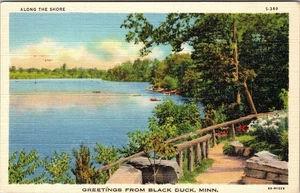 Schwarze Ente MN-Minnesota, Grüße, malerischer Seeblick, um 1940 alte Postkarte - Bild 1 von 2