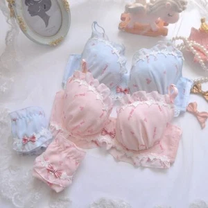 32D 34D 36D 38C 38D 40D Womens Pink Bra Set Chiffon Heart Underwear Blue Pantie - Picture 1 of 16