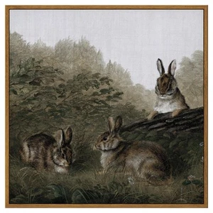 Framed Canvas Wall Art Home Decor Three Rabbits Vintage Wall Art Easter Bunny... - Picture 1 of 7