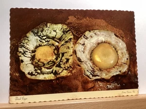 Fried Eggs: Luray Caverns, VA - Vintage Postcard - Picture 1 of 3