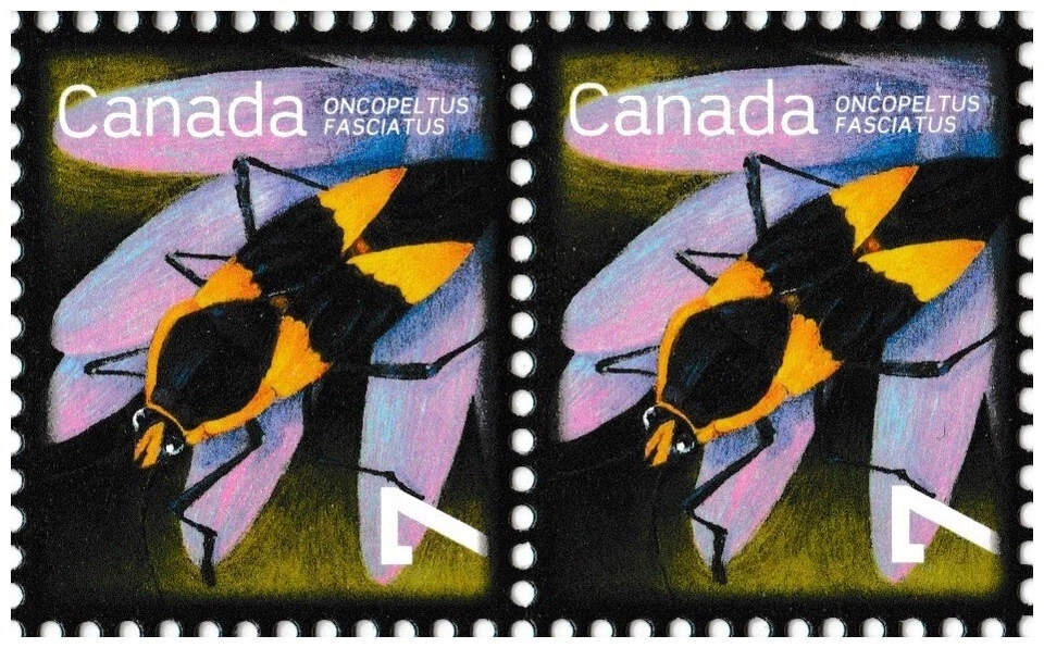 Канада 2408 полезные насекомые большой молочай жук 7c horz пара MNH 2010 - Изображение 1 из 1