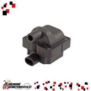 Bobina Inductiva Piaggio Mp3 Mic 400 2008/2010 6830409 - Imagen 1 de 1