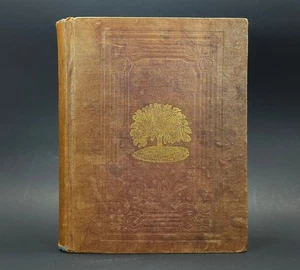 1837 Peter Parley Universal History Hawthorne 1st Ed Illustrated Mutiny Bounty - Picture 1 of 21