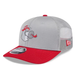 Philadelphia Phillies New Era Batting Practice 9SEVENTY Stretch-Snap Trucker Hat - Picture 1 of 6