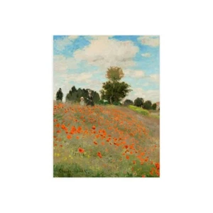 Impresión En Lienzo O Papel Póster O Cuadro Claude Monet Amapolas (detalle) - Imagen 1 de 2
