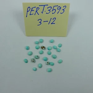 Persian Turquoise 100% Natural 24 Oval Cabochon 9.03 TCW - Picture 1 of 4