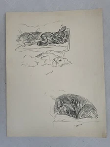 Disegno Bulldog francese schizzo stampe di Lucy Dawson Art  - Foto 1 di 6