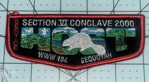 SEQUOYAH 184 SECTION 6 2000 SERVICE VI LODGE KLAPPE PFADFINDERORDEN PFEIL (TENN25) - Bild 1 von 1