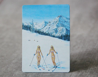 80's Taiga Ski Weekend II -  Satirical Fan Art Dual land MTG - Image 1 of 3