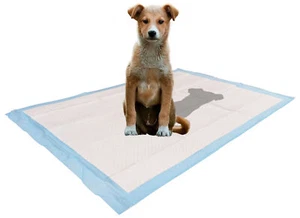 100 Count Ultra Absorbent - Leak-Proof Pee Pads for Dogs Rabbits and Cats - Picture 1 of 8